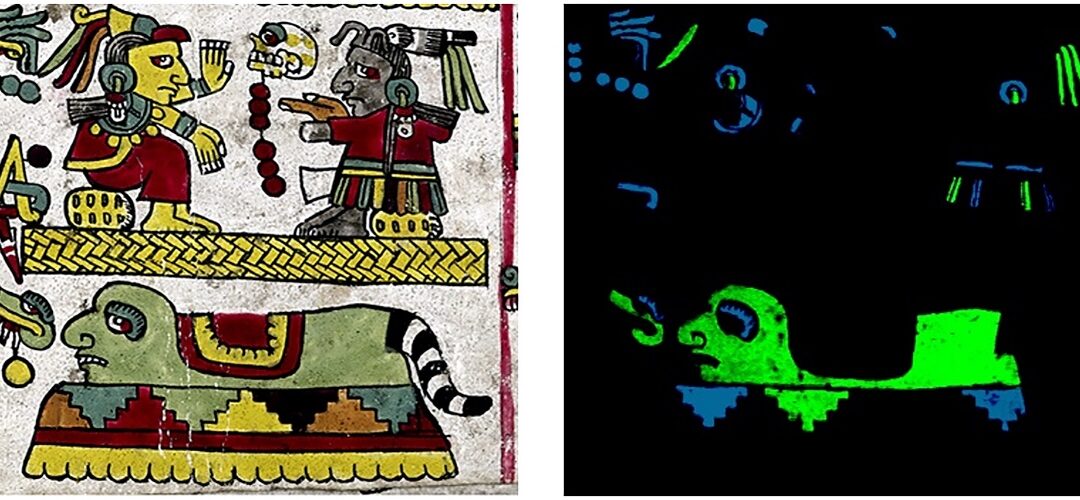 Mappa-Blue-Maya-copia2