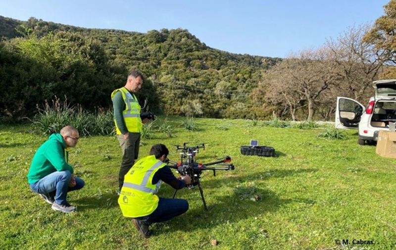NURAGHE PROJECT – Remote sensing analysis on the protohistoric nuragic site of Bruncu ‘e s’Omu near Villa Verde, OR (central western Sardinia)